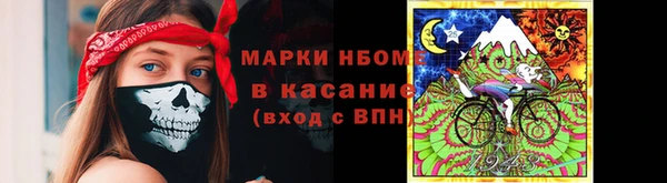 шишки Алексин