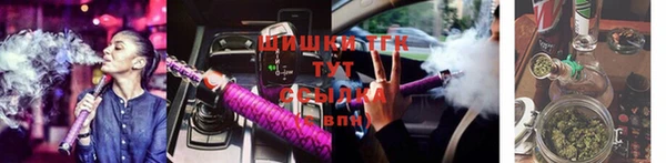шишки Алексин