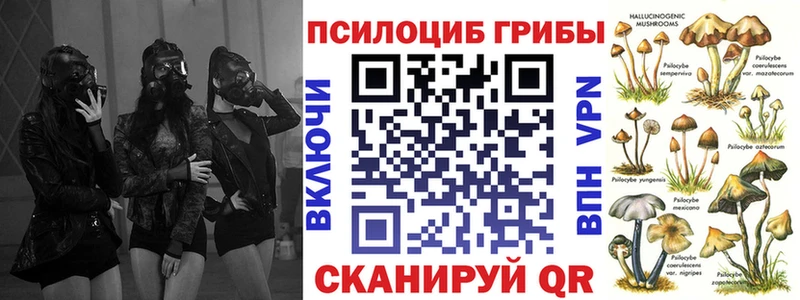 наркотики  это наркотические препараты  Галлюциногенные грибы прущие грибы  Новосиль 